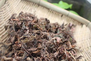 香格里拉 中药材 一线草 500克